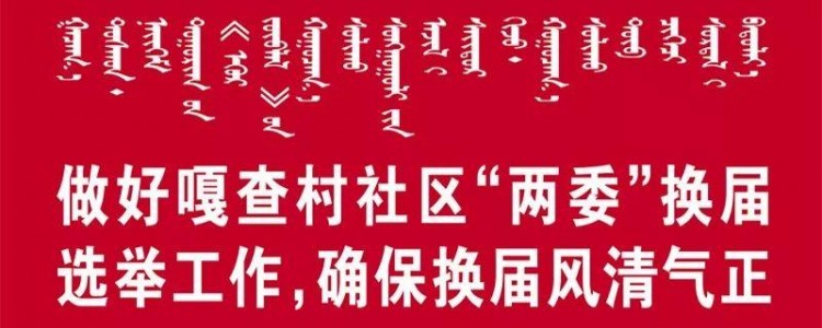 「关注」准格尔旗开展流浪犬专项整治行动被抓的狗去了哪