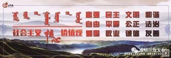 「关注」准格尔旗开展流浪犬专项整治行动被抓的狗去了哪