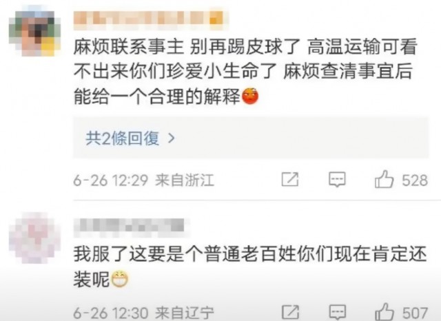 李紫婷心碎：托运狗狗接机时已成死尸我的狗狗经历了什么