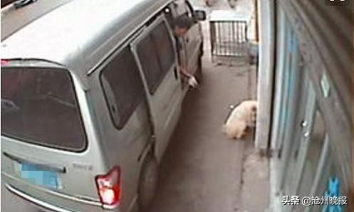 廊坊两人结伙在青县偷狗，警察围堵逮捕了他